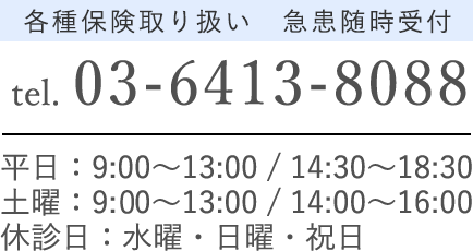 03-6413-8088